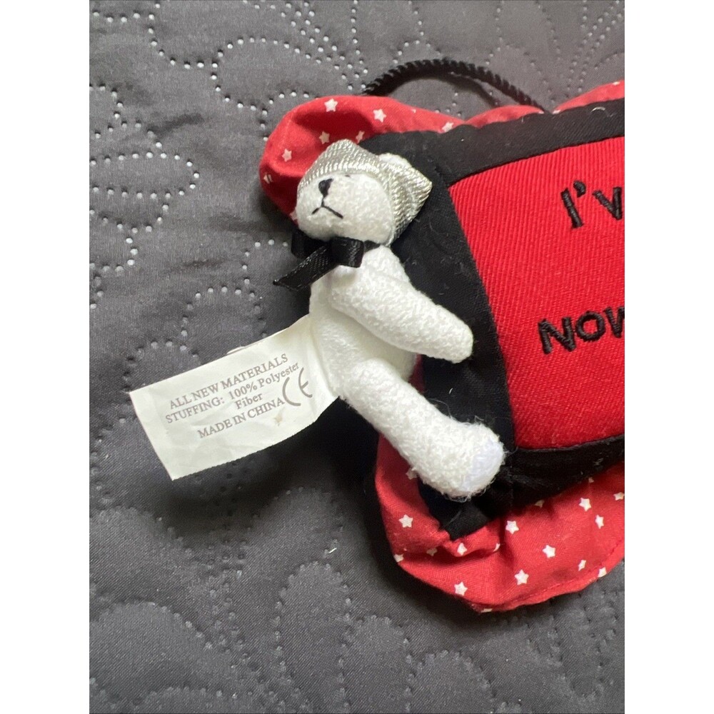 The Razz Bearies Small Hanging Pillow -I’ve had it with reality NWOT Collectible - Picture 3 of 5